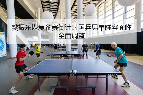 樊振东恢复参赛倒计时国乒男单阵容面临全面调整